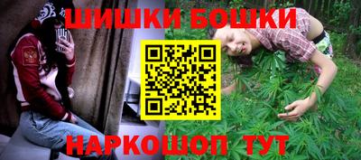 шишки Кингисепп