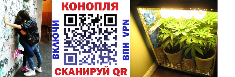 где можно купить наркотик  Кунгур  Бошки Шишки OG Kush 